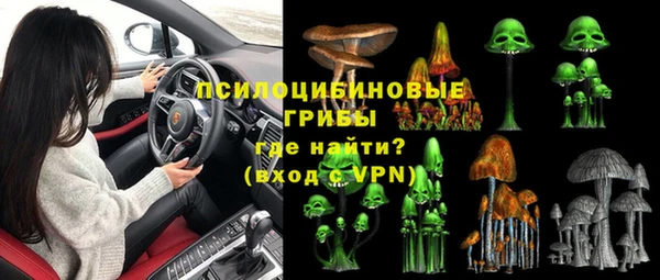 apvp Алексин