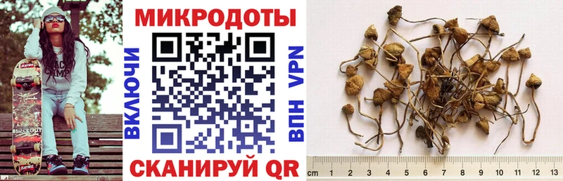 как найти закладки  Отрадный  Псилоцибиновые грибы Psilocybine cubensis 