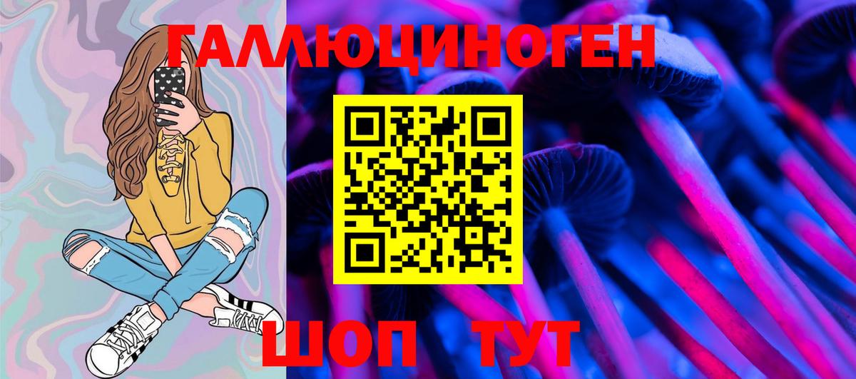 Псилоцибиновые грибы GOLDEN TEACHER Отрадный