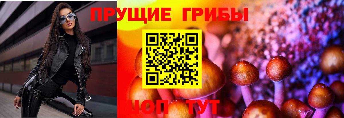 Отрадный  продажа наркотиков  Вход с VPN  Галлюциногенные грибы Magic Shrooms 